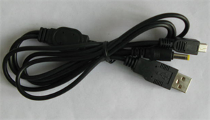 Image de FirstSing FS22052  2 in 1 USB Cable for PSP 2000 