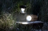 Image de 2in1 Solar Camping Solar Battery Lamp LED Flashlight