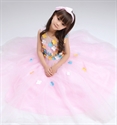 Show Girls Tulle Appliqued Softest Birthday Wedding Pageant Princess Dress の画像