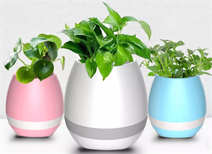 Image de Firstsing Wireless Bluetooth Touch Flowerpot Mini Subwoofer Speaker Smart Plant Office Mp3 Music Player Pot with LED Multiple Colors