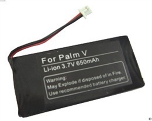 Picture of PALM V