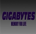 Image du fabricant Gigabytes
