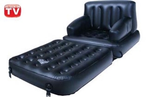 Picture of 5 in 1 Sofa Bed -Twin