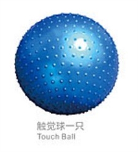 Image de Touch ball