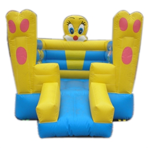 Image de Inflatable bouncing
