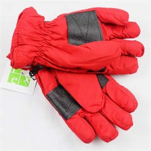 Picture of Ski Glove