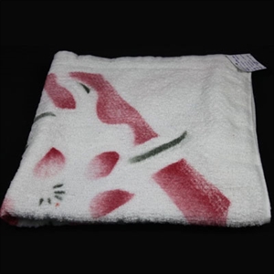 Image de beach towel