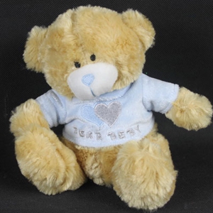 Picture of plush bear