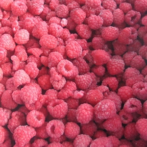Picture of Frozen Rasberry