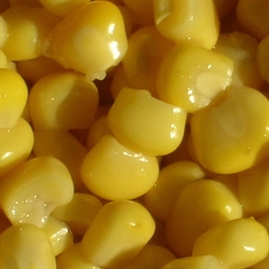 Image de Canned corn