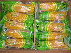 Picture of Vacuum packed sweet corn