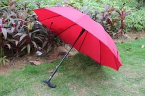 Picture of walking stick umbrella