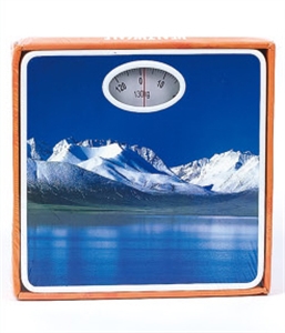 Picture of WEIGHING SCALE