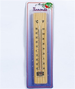 Picture of THERMOMETER