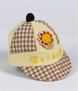 Picture of HAT