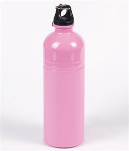 Изображение STAINLESS TRAVEL BOTTLE