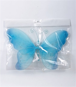 butterfly の画像