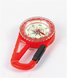 Picture of COMPASS