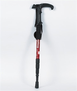 Picture of ski pole