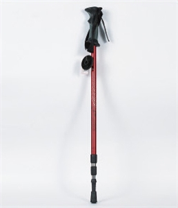 Picture of ski pole