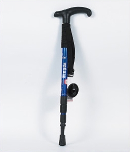 Image de ski pole