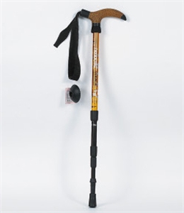 Picture of ski pole