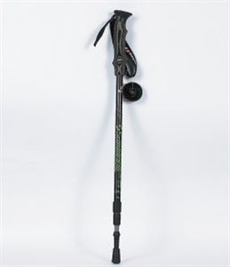 Picture of ski pole