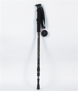 ski pole