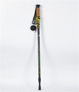 Picture of ski pole