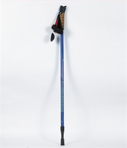 Picture of ski pole