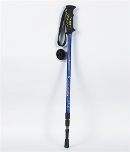 Picture of ski pole