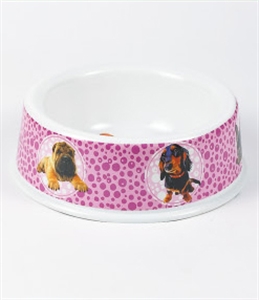 Picture of PET BOWL