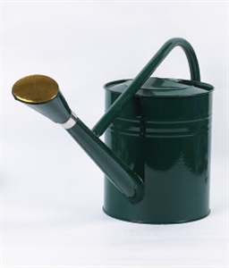 Picture of WATER POT