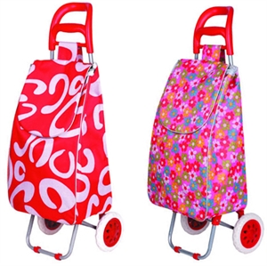 Shopping trolley bag XY-404B1 の画像